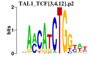 logo of TAL1_TCF{3,4,12}.p2